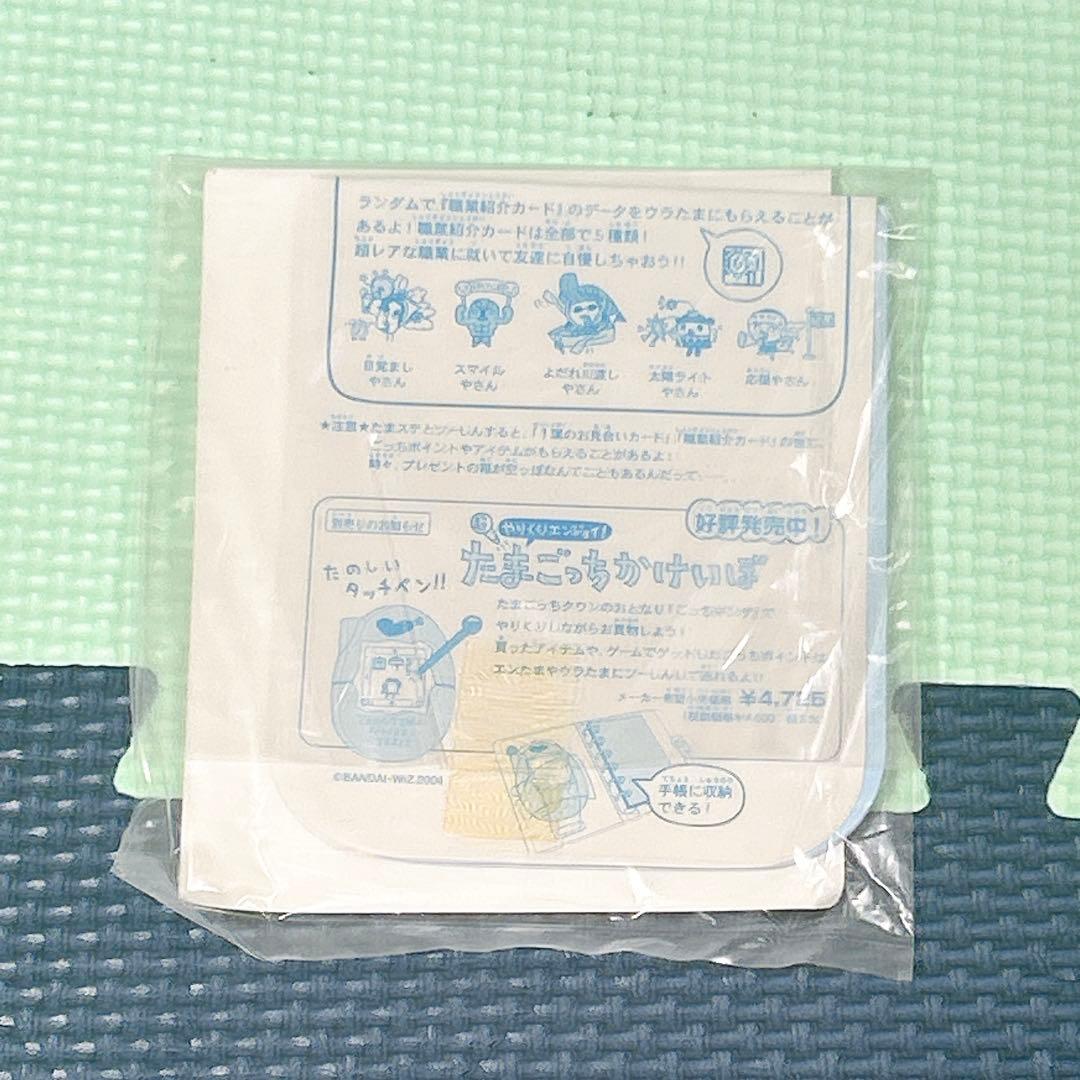 【限定品】たまてんばこ たまごっち10周年記念 特別版 玉手箱 寿山と湖