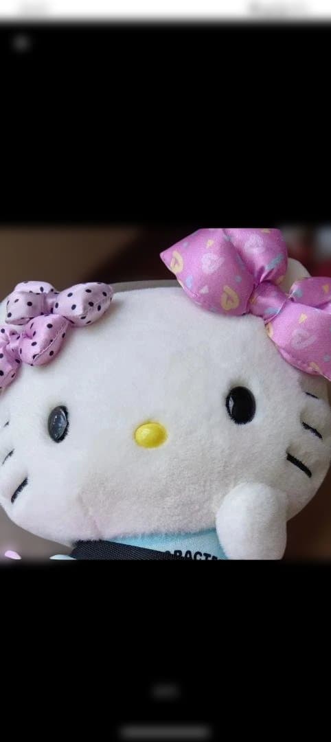 ハローキティ ぬいぐるみ 5体セット（新品タグ無し）