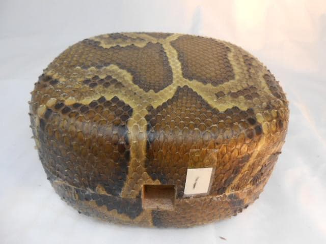 新品未使用H1現品販売(送料無料)16.980円　沖縄三線専用　蛇皮強化チーガ