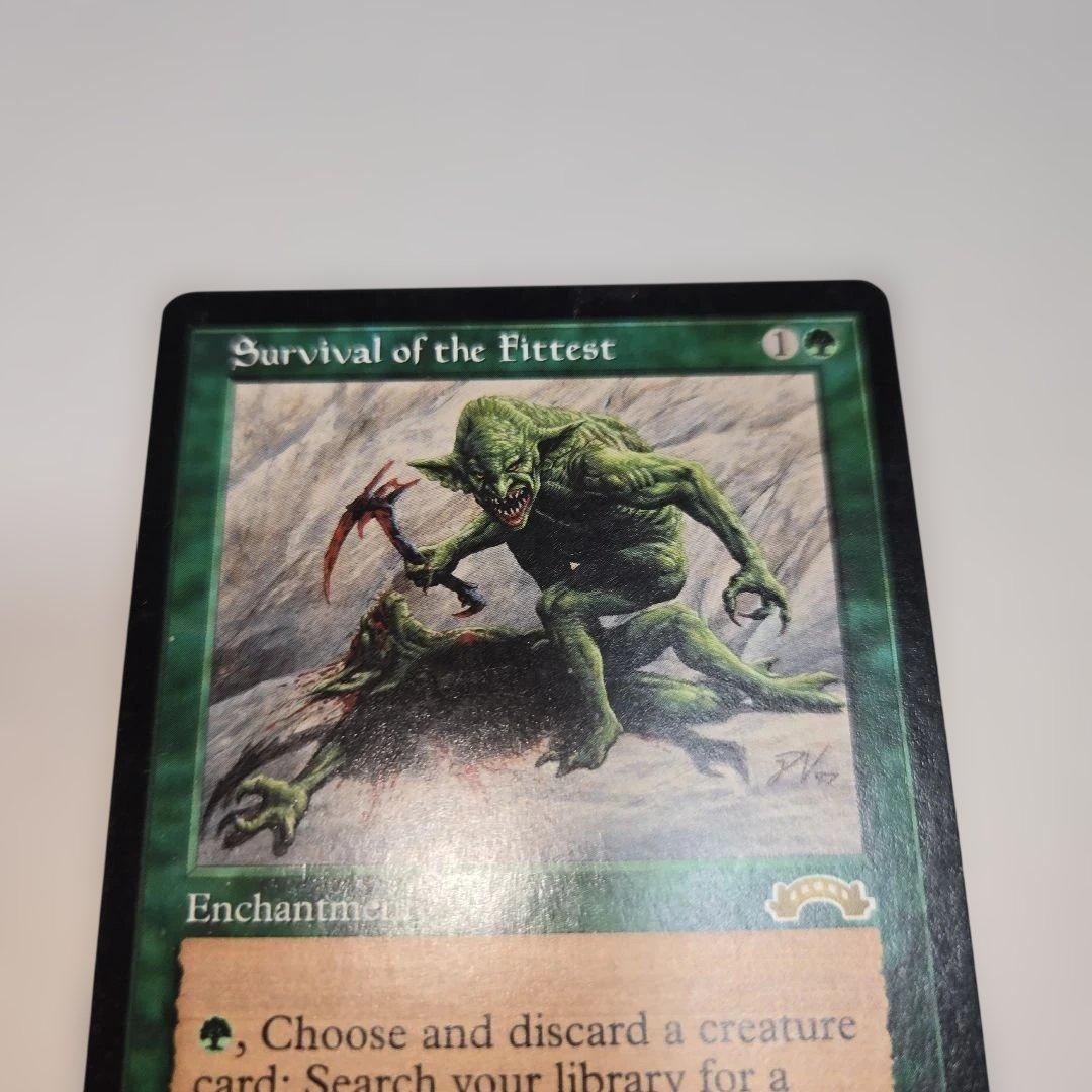 【激レア】適者生存　NM相当