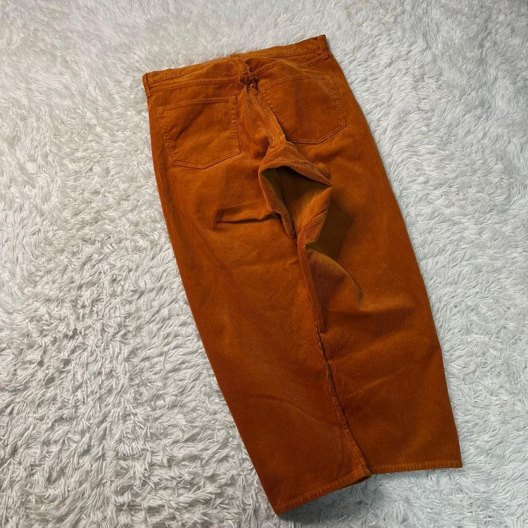 Der SAMMLER Solo × TTR 21AW WALTER PANTS