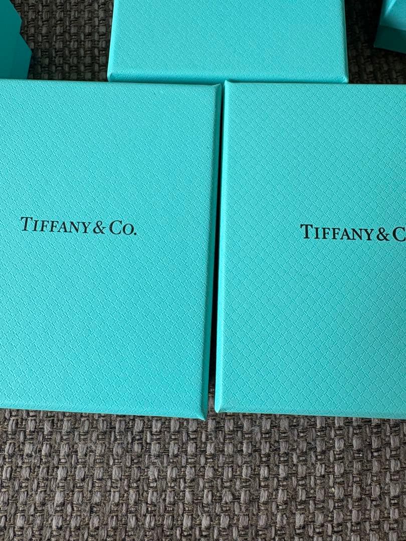 国内　現行品　美品ティファニ空箱巾着袋10セット