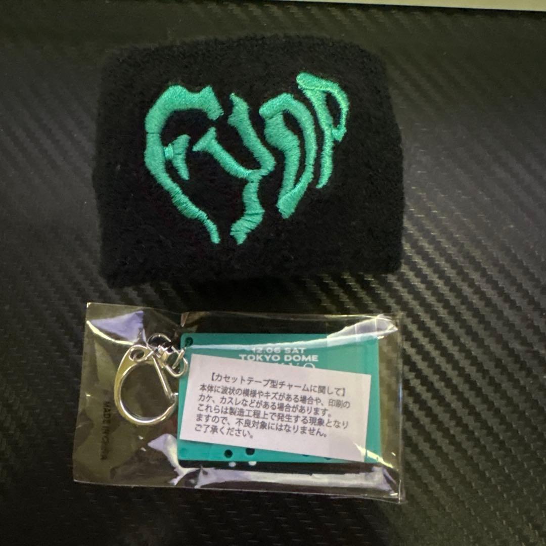 B'z LIVE-GYM 2025 FYOP リストバンド＆キーホルダーセット