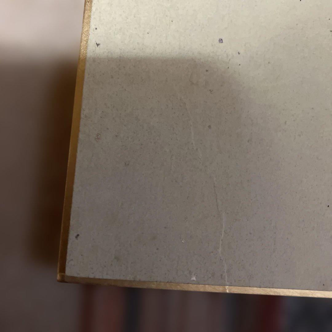 天野喜孝 直筆 サイン色紙 写真付き サイン