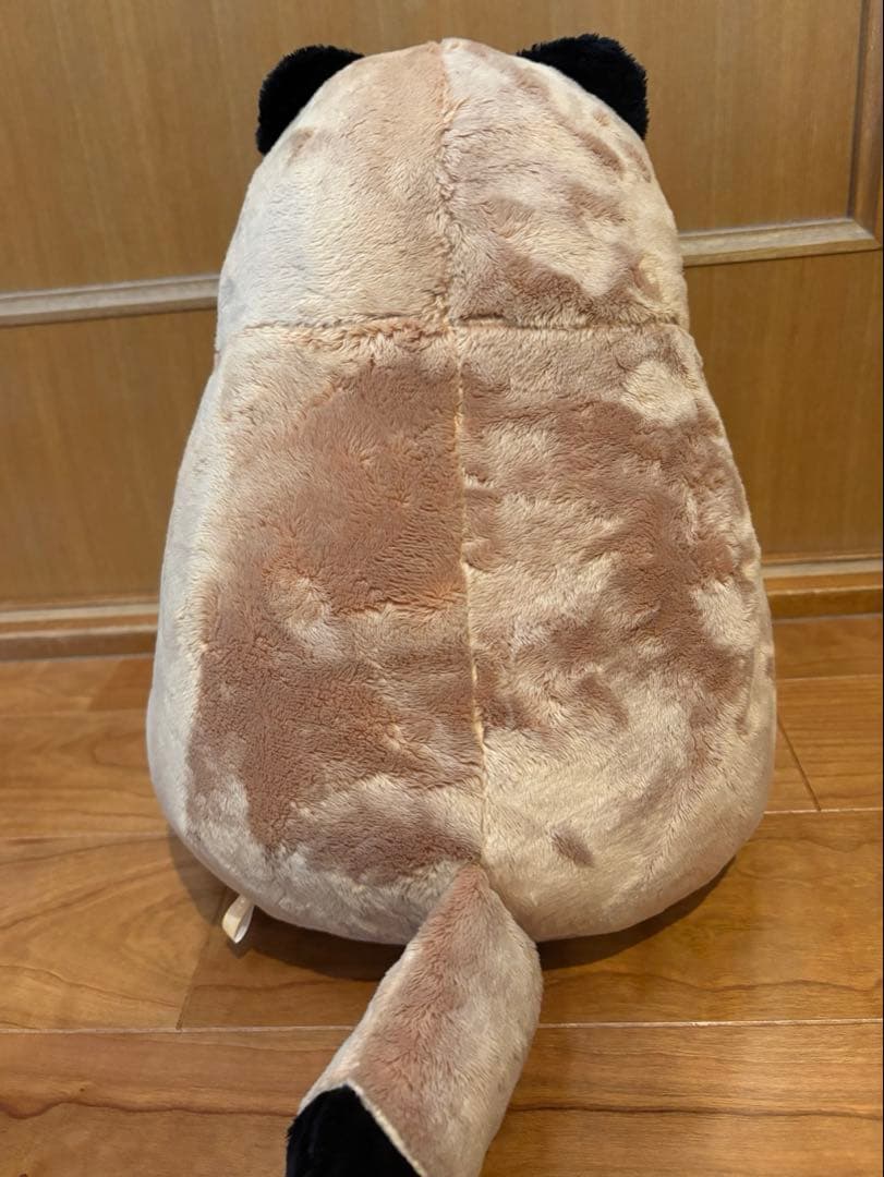 雨と君と　たぬき　犬　ぬいぐるみ