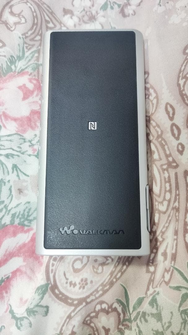 ウォークマンNW-ZX300とバンナイズポーチ