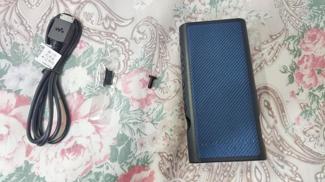 ウォークマンNW-ZX300とバンナイズポーチ