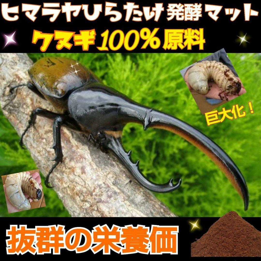大量飼育に！【300リットル】良質☆発酵カブトムシマット☆幼虫が丸々太ります！
