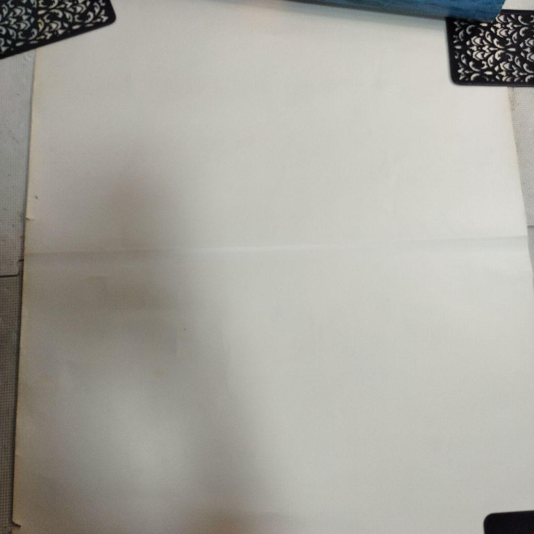 資生堂 　セリア・キャロン　特大ポスター この夏　その気