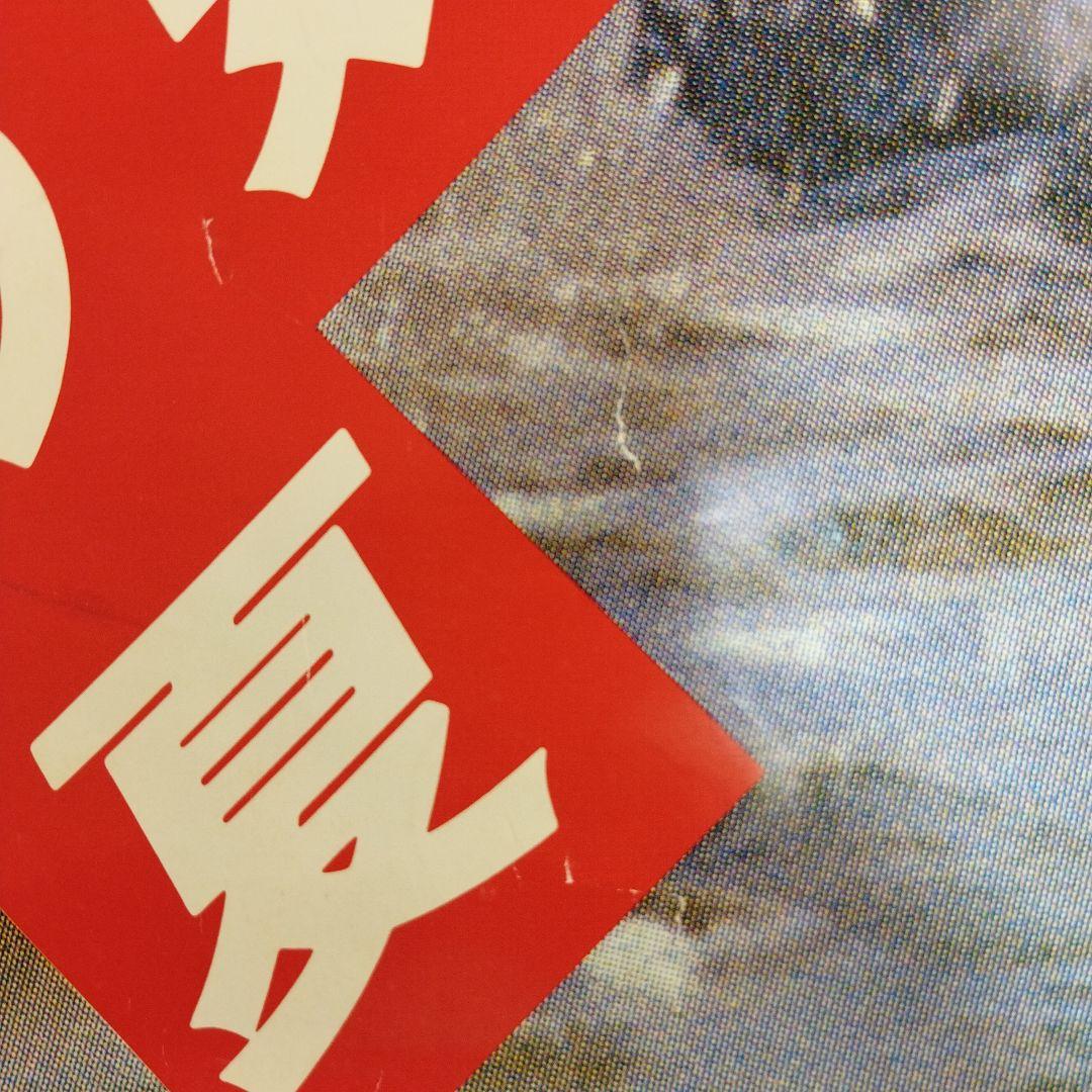 資生堂 　セリア・キャロン　特大ポスター この夏　その気