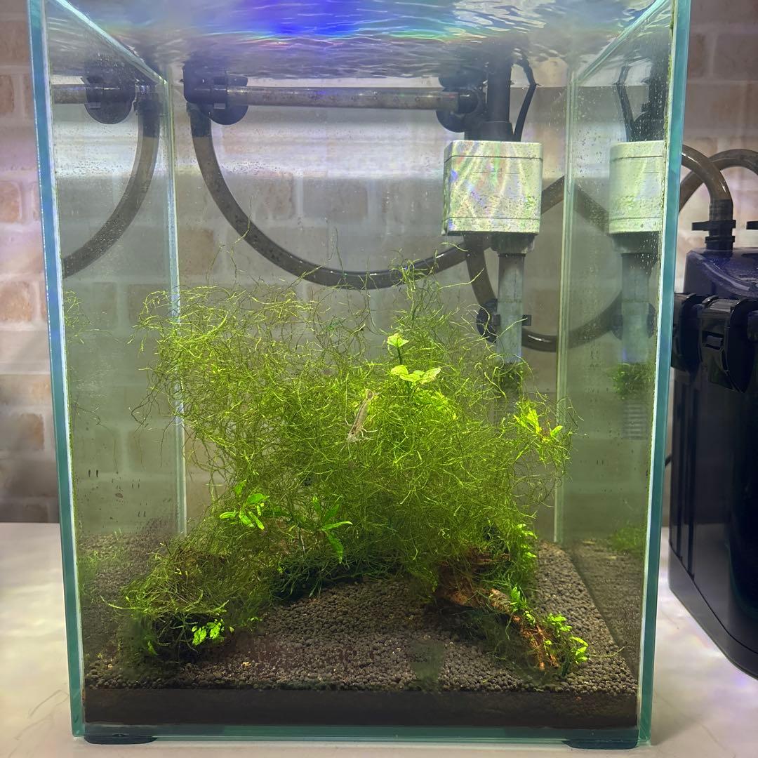 水槽フルセット　引き取り限定