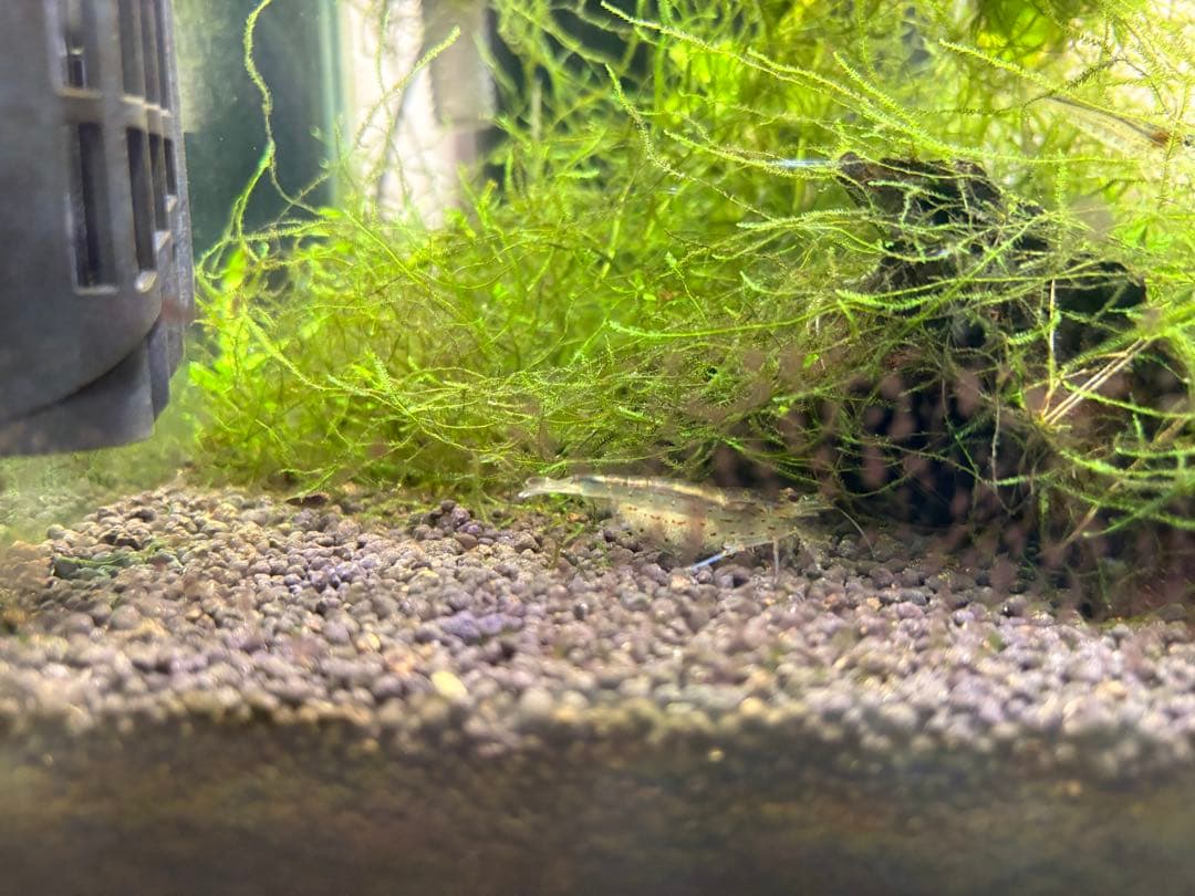 水槽フルセット　引き取り限定