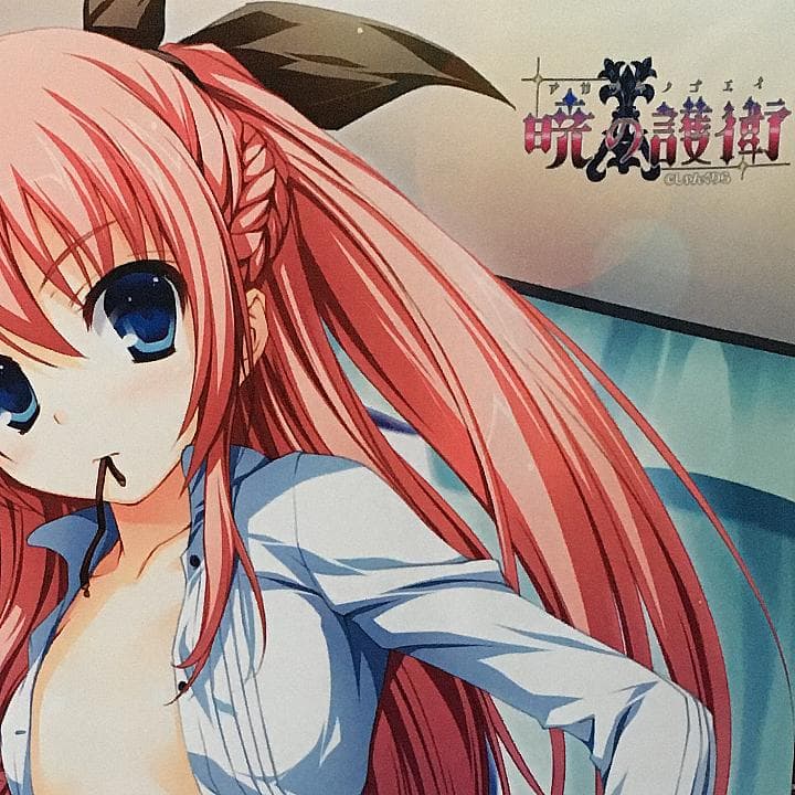 暁の護衛 二階堂麗華 タペストリー 9本セット 【稀少品】