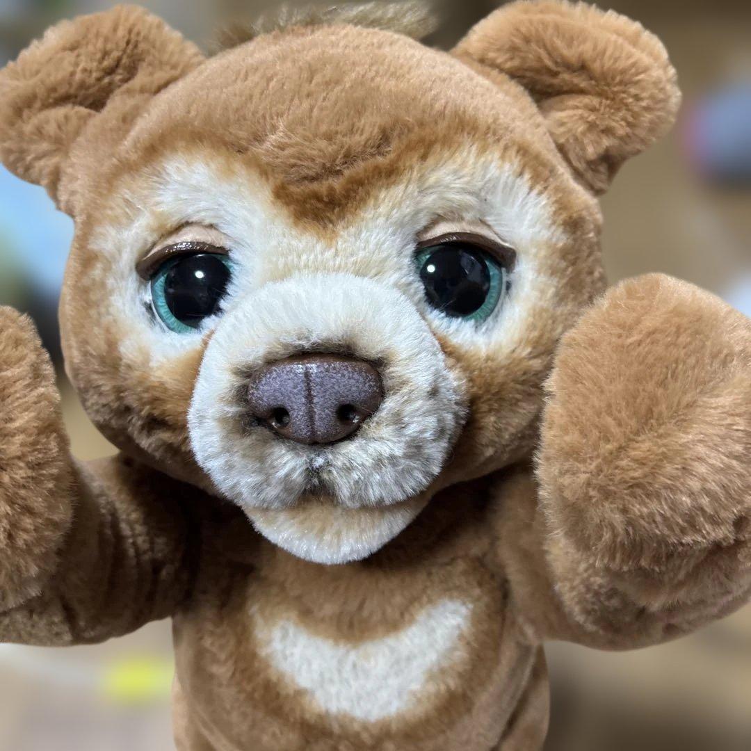 【廃盤品】レア ファーリアル 遊ぶのだいすき こぐまのカビー 動作確認済