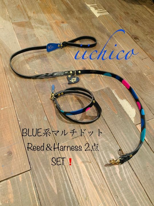 犬用リード＆ハーネス2点SET！Black革Blue系マルチドット