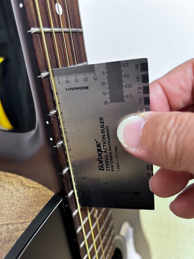 S6 Seagull アコースティックギター ブラック