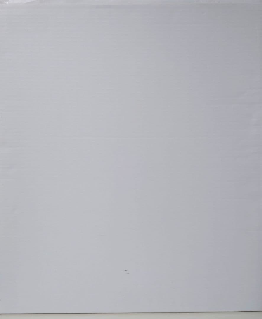 推しの子 複製原画 赤坂アカ 横槍メンゴ サイン入り 赤坂アカの世界展 B小町