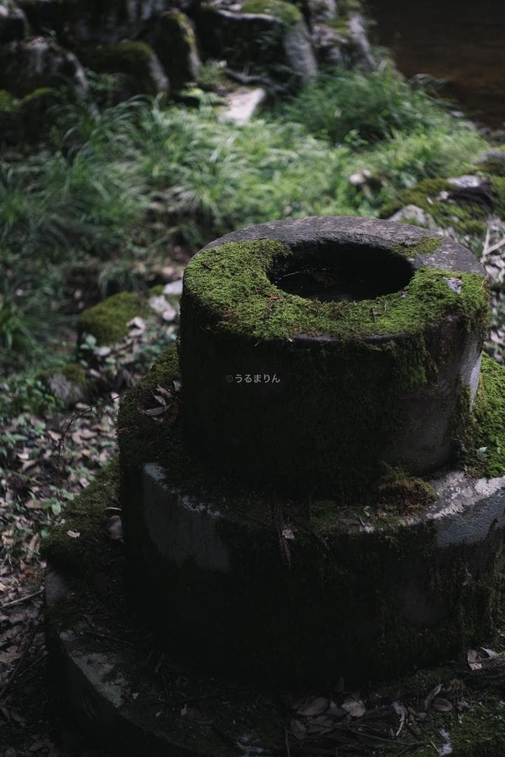 美品！赤エルマー！Red Scale Elmar 50mm オールドレンズ