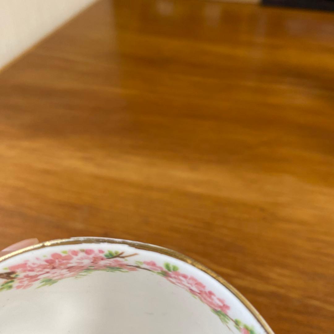 【特価ラスト1点】ロイヤルアルバート　ブロッサムタイム　カップ　ソーサー　トリオ