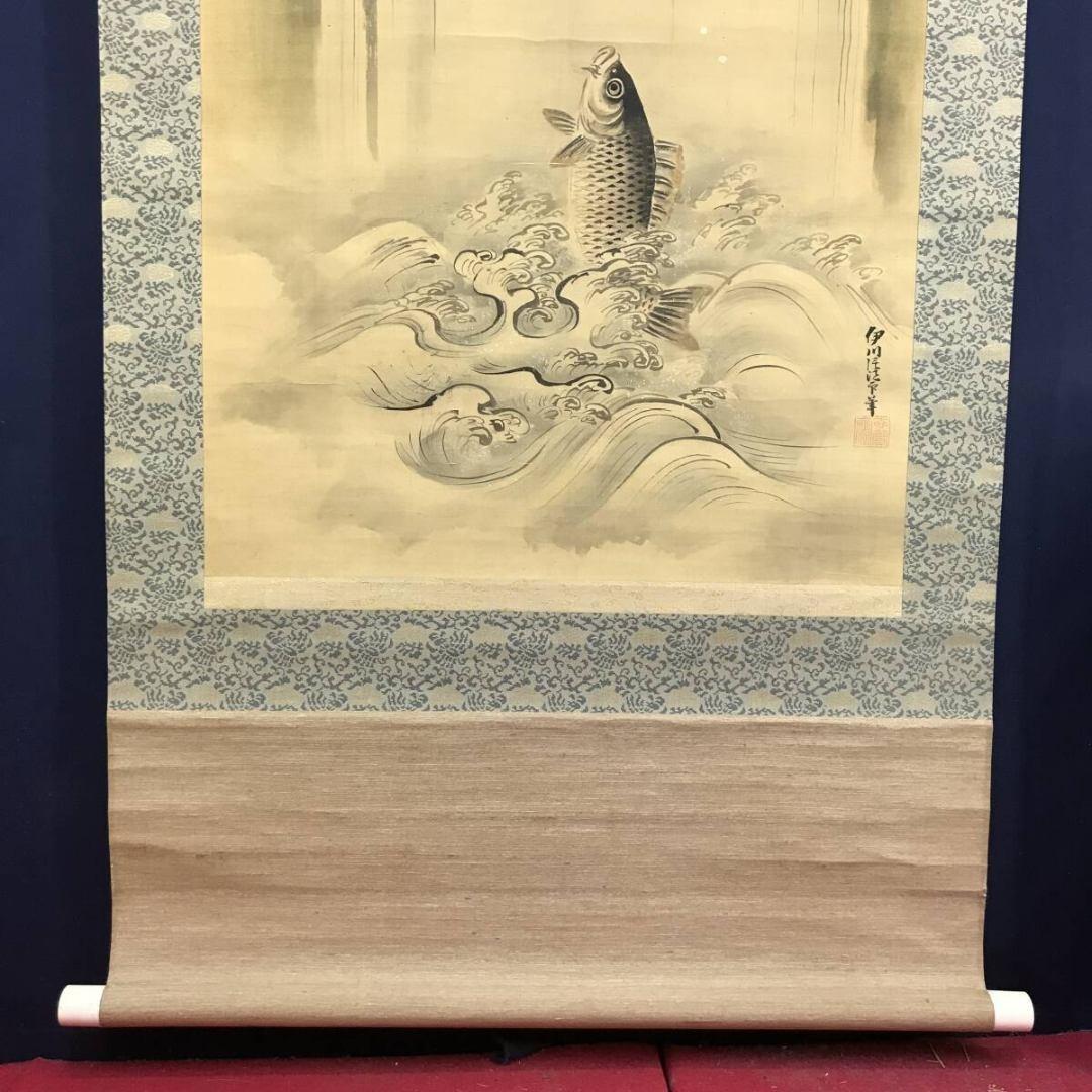 真作/狩野伊川院/滝昇鯉図/桜図/鯉図/コイ図/掛軸☆宝船☆AK-309