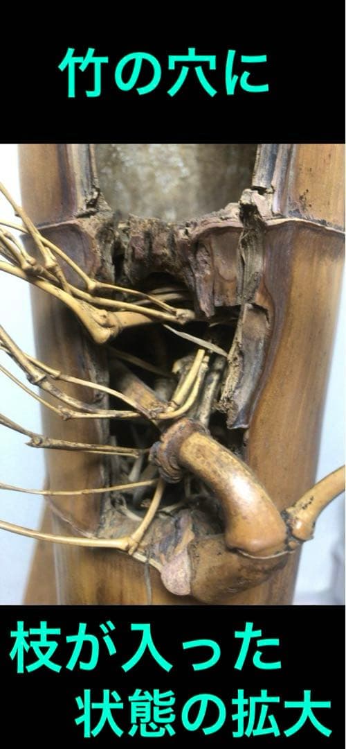 変竹竹花入　表千家流久田家　無適斎(久田宗也十一代)好み　書付　花押