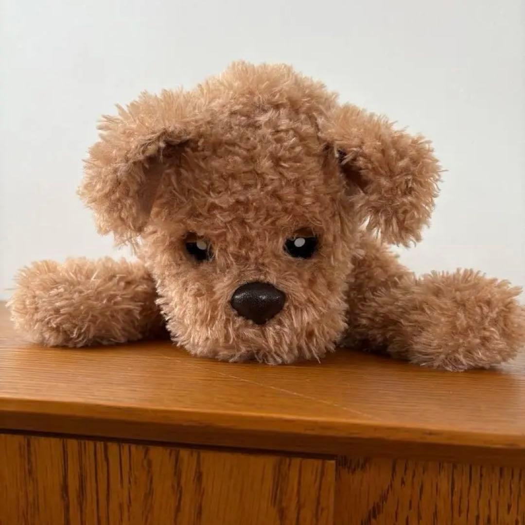 ⭐︎外箱、取説付き⭐︎ もっとおりこうダッキー　Dacky