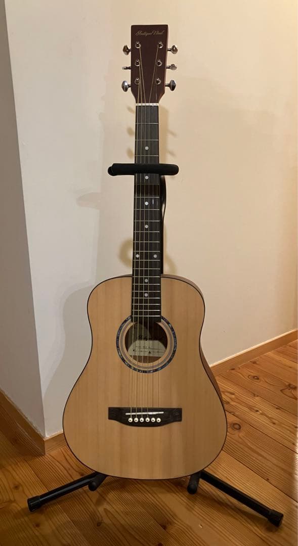ミニアコースティックギター ANTIQUE NOEL AM-0 NA セット