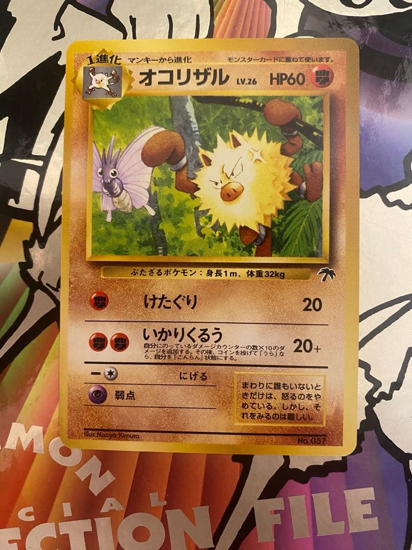 旧裏　ポケモンカード　サザンアイランドフルコンプ