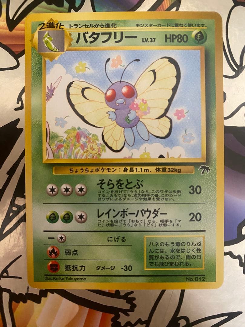 旧裏　ポケモンカード　サザンアイランドフルコンプ