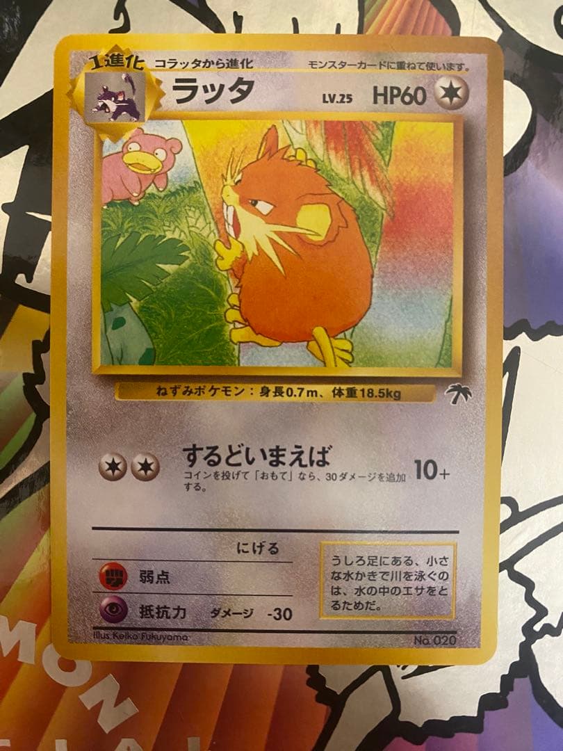 旧裏　ポケモンカード　サザンアイランドフルコンプ