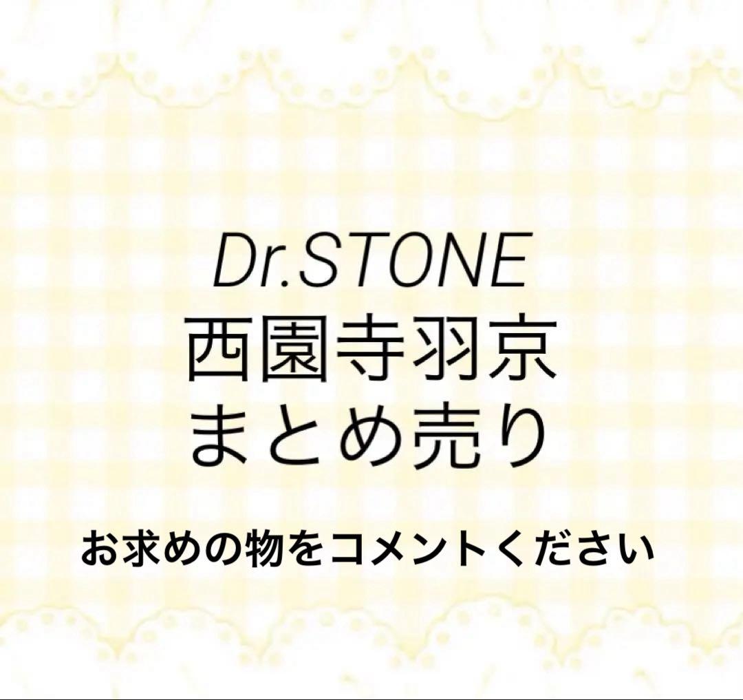 Dr.STONE 西園寺羽京 まとめ売り お求めのものをコメントください⤵︎ ︎