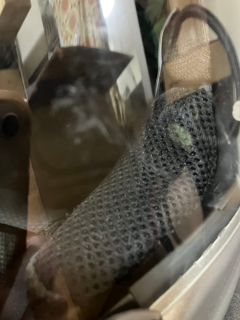 アライ TOUR CROSS2 ツアークロス2 オフロードヘルメット ヘルメット