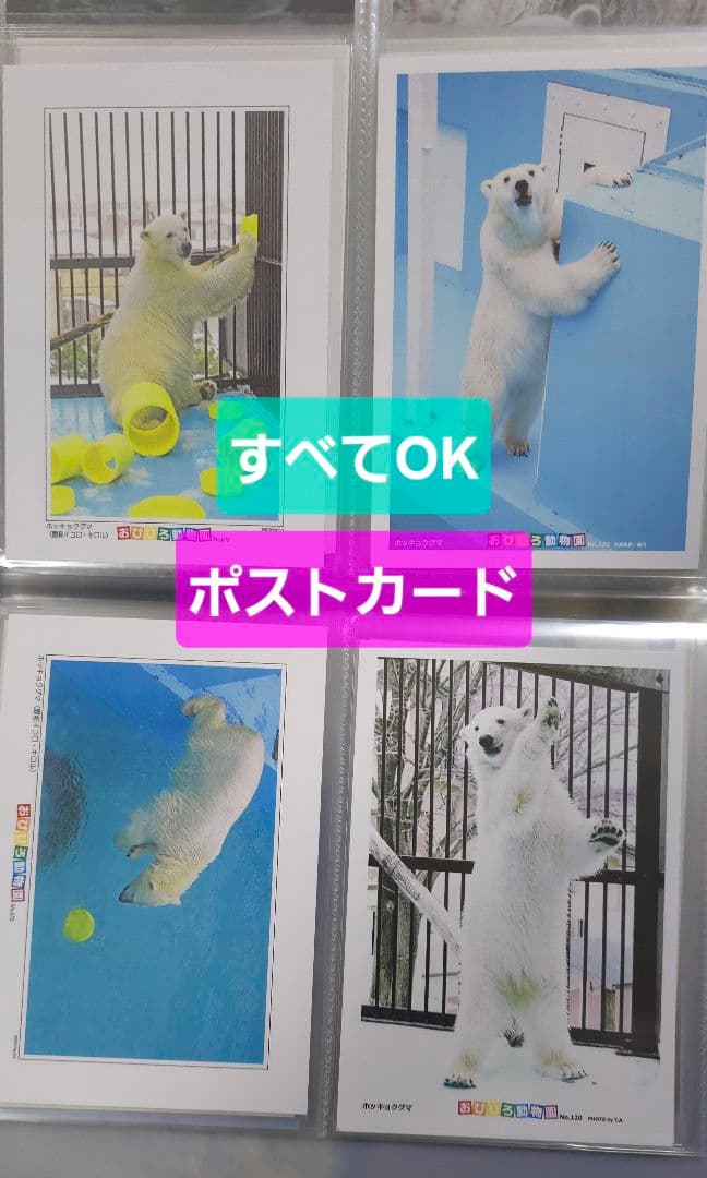 しろくまっこ ①