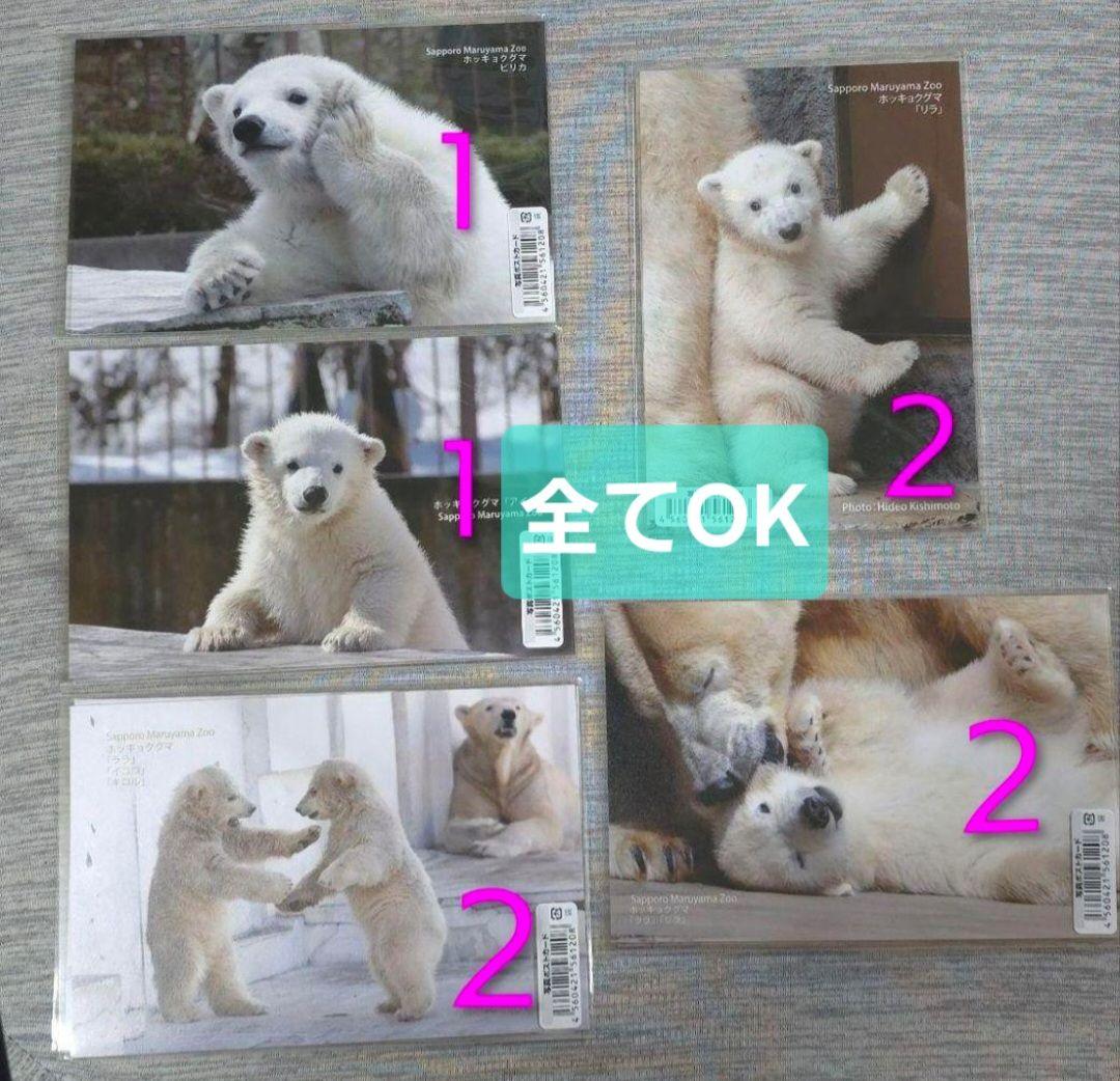 しろくまっこ ①