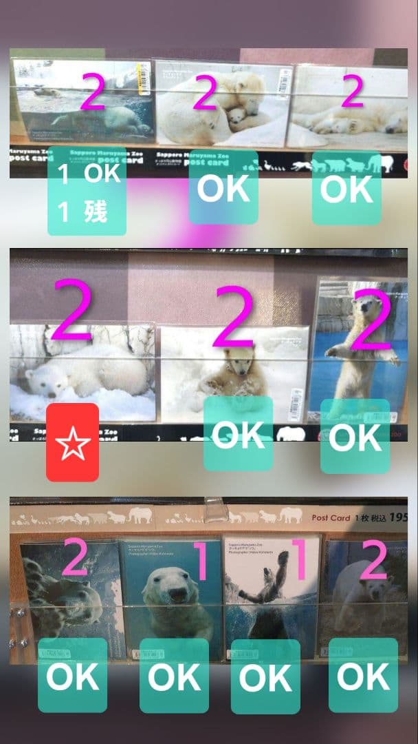 しろくまっこ ①