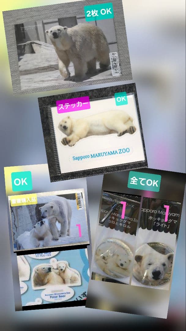 しろくまっこ ①