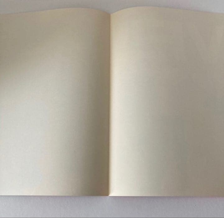 【超貴重】エレファントカシマシ LIVE ツアーパンフ18枚セット