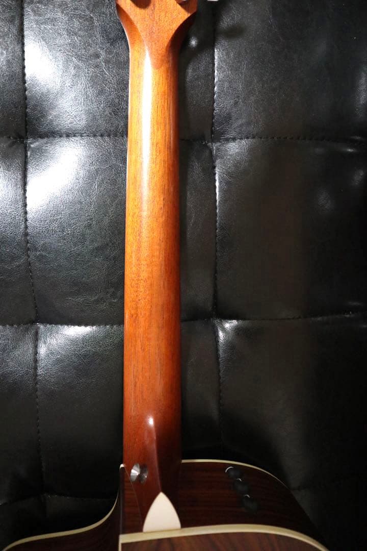 【送料込み】Taylor 214ce ES2 エレアコ 本革ストラップ ケース