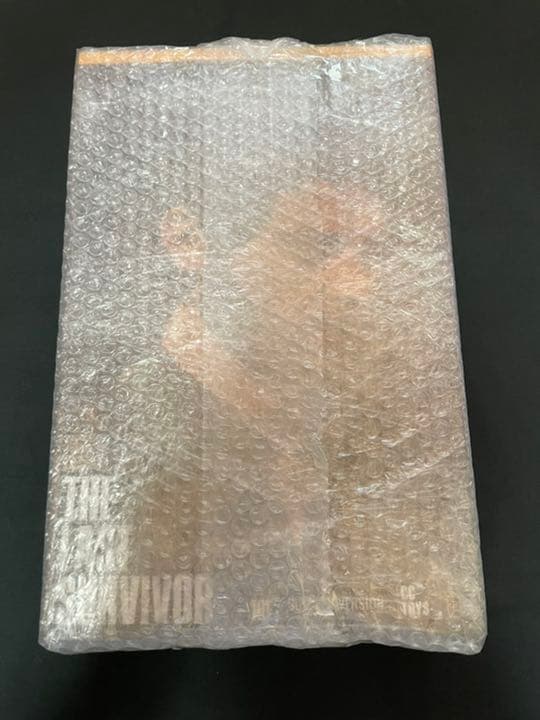 CCTOYS 1/6 Scale HE LAST SURVIVOR JOE 新品