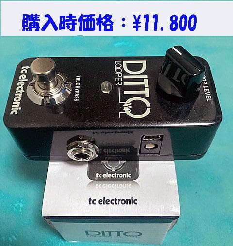 Ditto Looper ルーパーエフェクターエレキギター