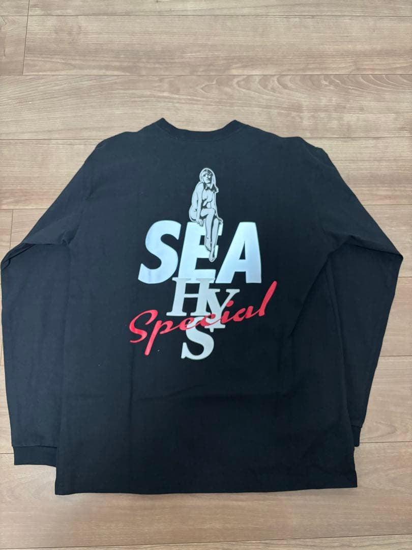 希少 状態よし　 wind and sea × ヒステリックグラマー ロンT