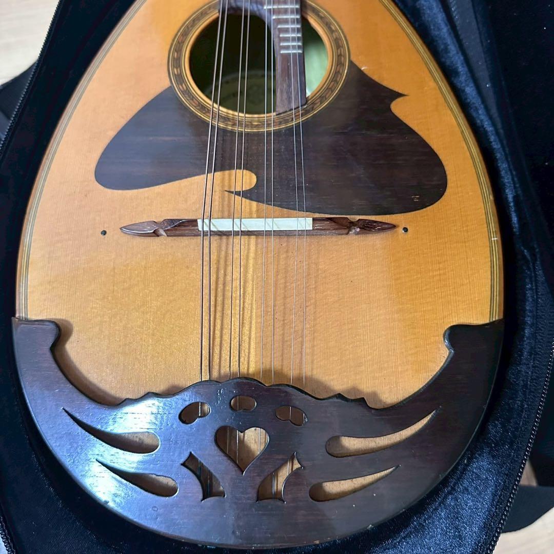 ケース極美品✨ スーパーライトマンドリンケース スズキ バイオリンNO.226