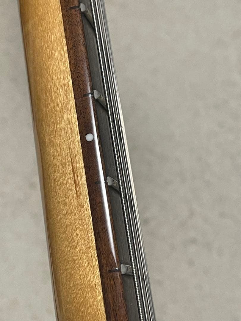 【説明欄必読】Edwards E-TE-CTM テレキャスター