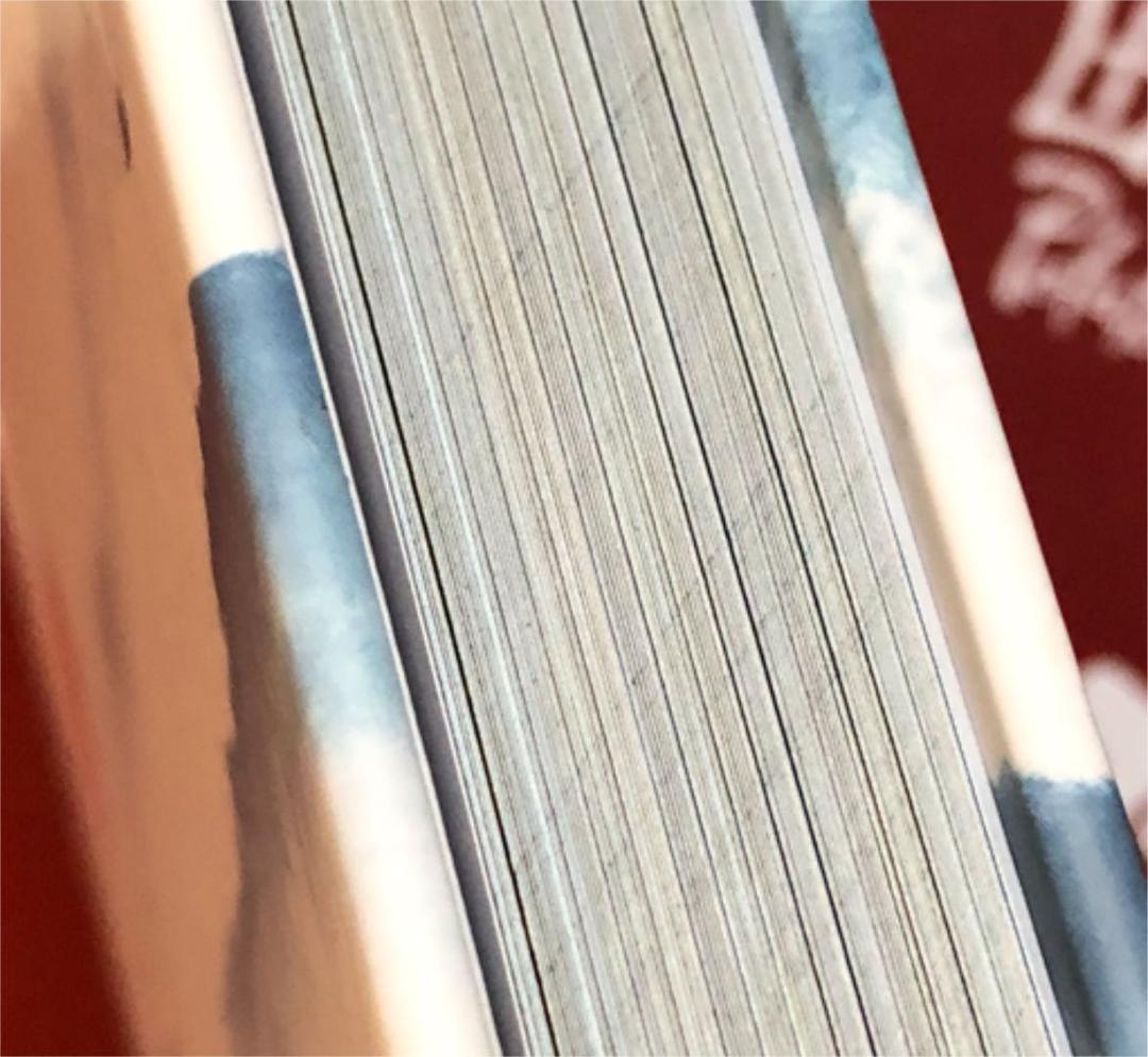 超希少77魏無羡オンリーレア陳情令 主演 肖戦xiaozhan特大記念PB写真集