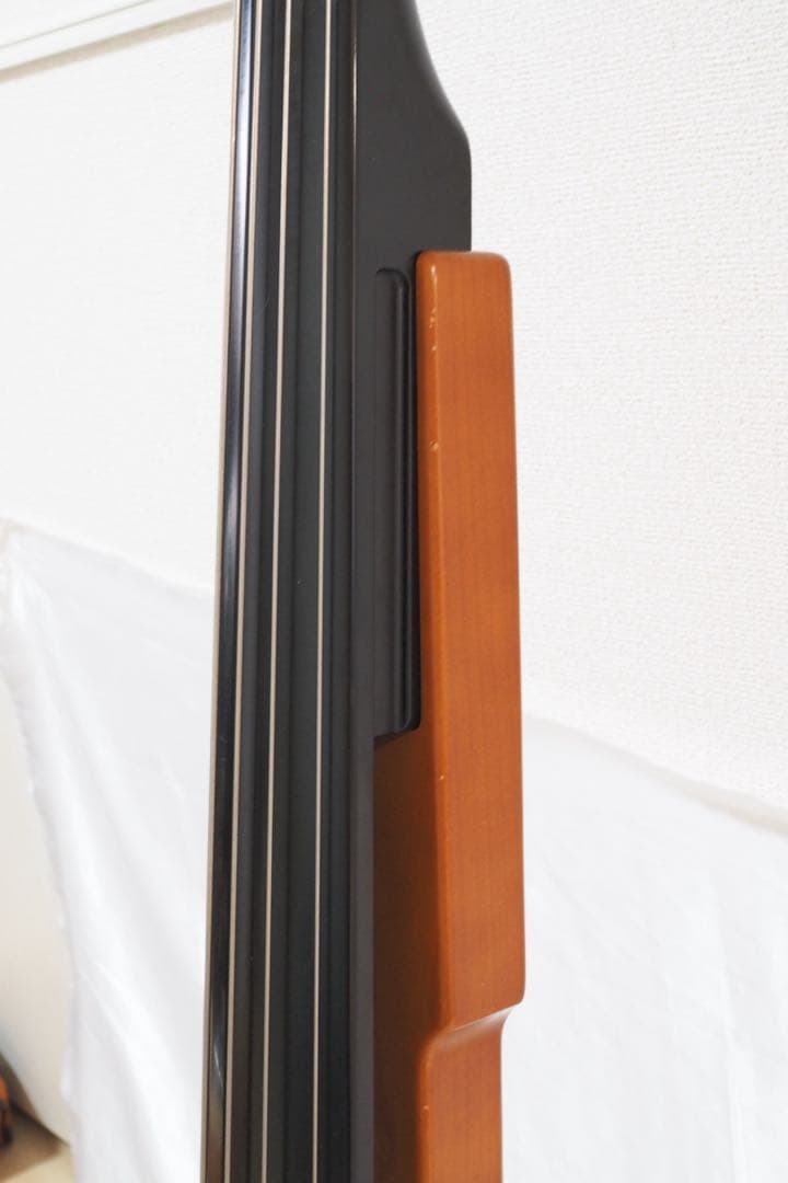 Aria SWB アリア エレクトリックアップライトベース アクティブベース