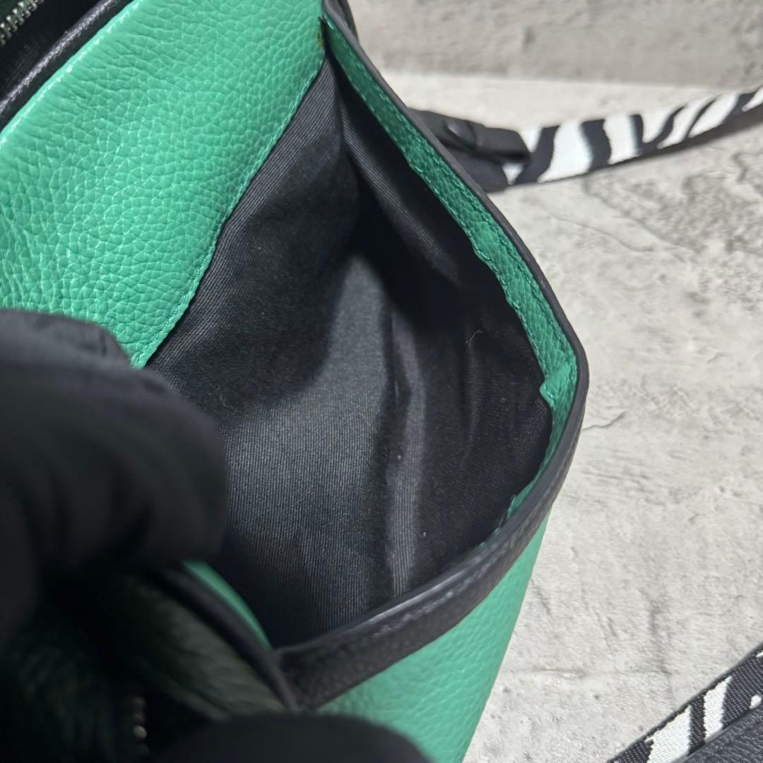 未使用級✨️コーチ カメラバッグ ショルダーバッグ 2層 レザー ゼブラ グリーン