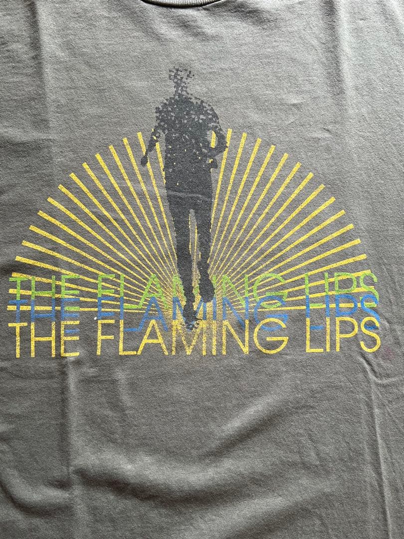 XLサイズ THE FLAMING LIPS Tシャツ GINATタグ