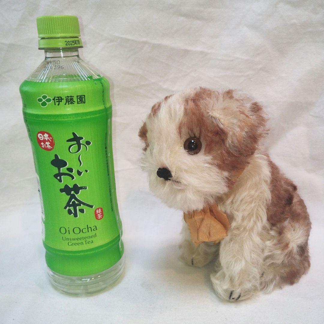 【アンティーク】シュタイフ　犬のぬいぐるみ　Molly Puppy　Steiff