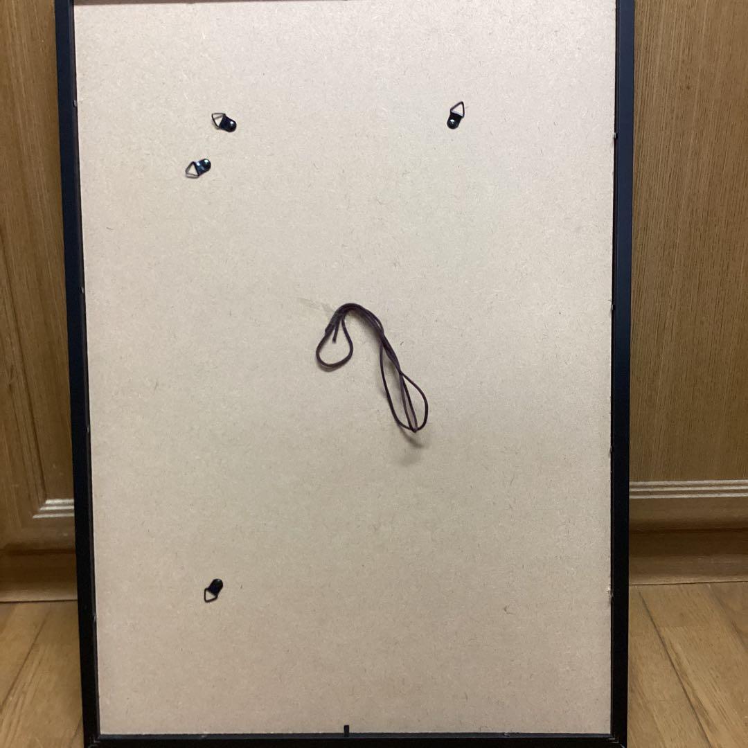 天才画家速水御舟　作品集大作編　便利堂監修　　画集NO 2 手向