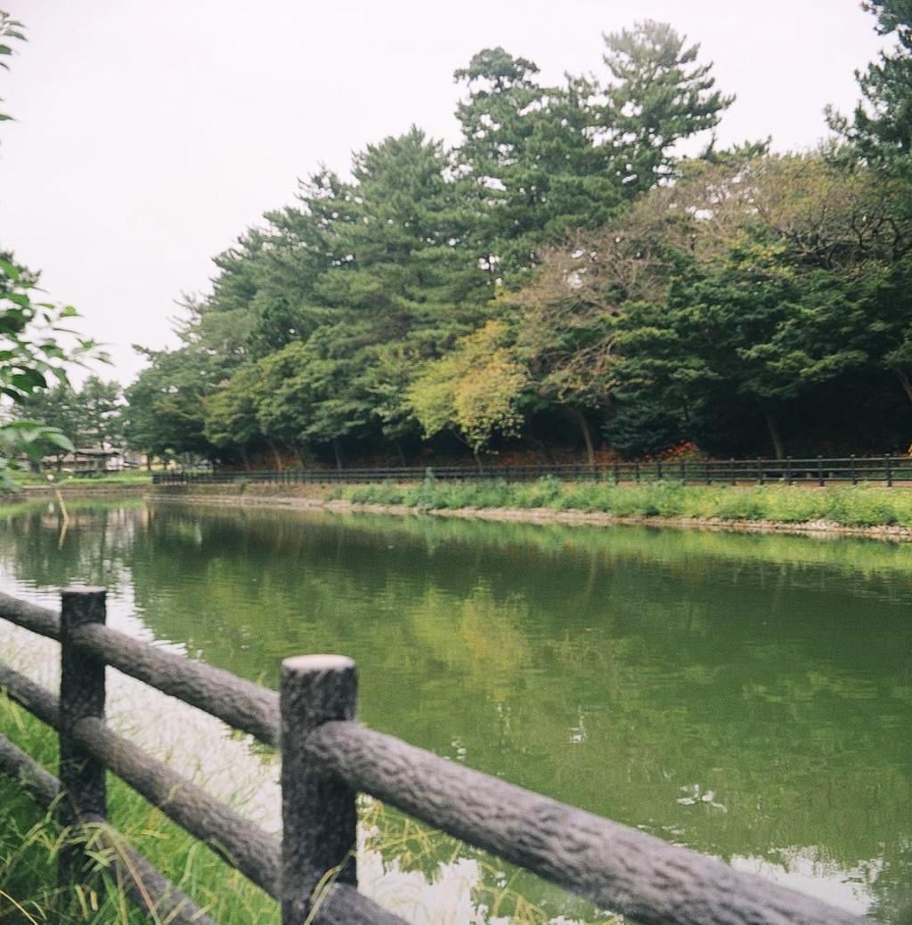 希少動作品 / KONICA Pearl 2 Hexar 75mm f3.5